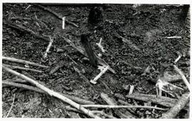 BGR foto ep-00.1988.2 268