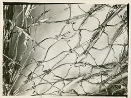 BGR foto m-09.1983.3 002
