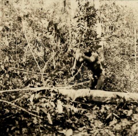 Original Objeto digital not accessible