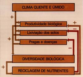 BGR foto ep-00.1988.2 014