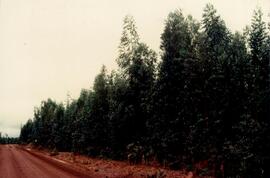 BGR foto ep-00.1988.2 083