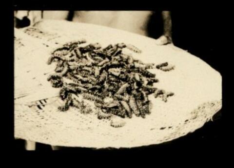 Original Objeto digital not accessible